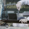 Gear Oil - Image 4